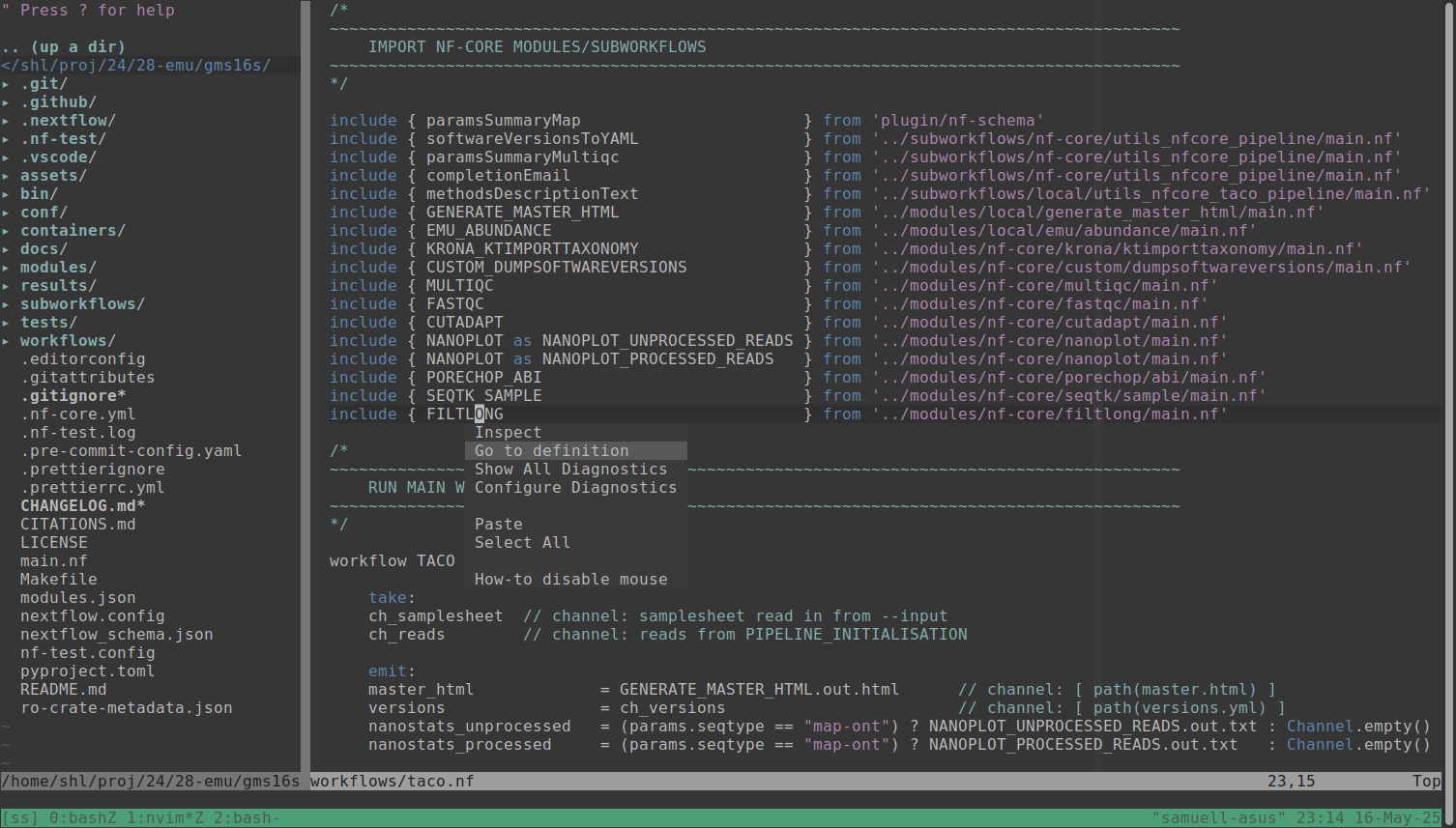 Screenshot of Nextflow LSP in NeoVim in action showing a context menu